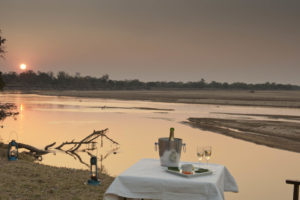 zambia south luangwa national park nsefu camp 13