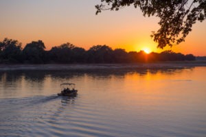 zambia south luangwa national park nsefu camp 5