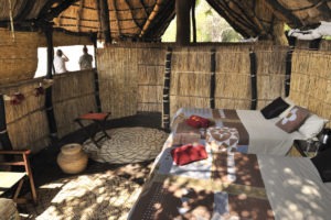 zambia south luangwa tafika camp walking safaris 30