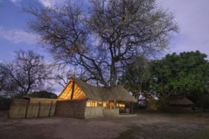zambia south luangwa tafika camp walking safaris 31