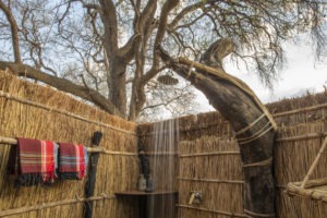 zambia south luangwa tafika camp walking safaris 33