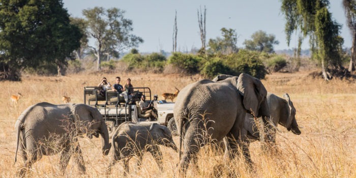 zambia south luangwa tafika camp walking safaris 42