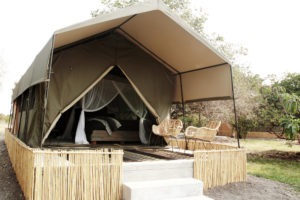 zambia bangweulu wetlands shoebill island camp 20