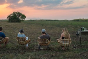 zambia bangweulu wetlands shoebill island camp 23