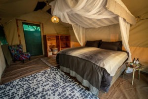 zambia bangweulu wetlands shoebill island camp 5