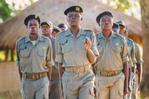 zambia bangweulu wetlands shoebill island camp 8