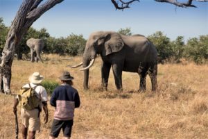 botswana okavango delta khwai leadwood luxury camp 2