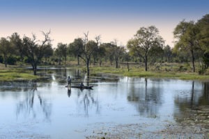 botswana okavango delta khwai leadwood luxury camp 3