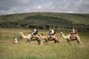 kenya laikipia loisaba star beds activities 16