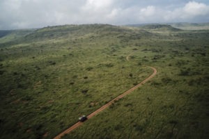 kenya laikipia loisaba star beds activities 18