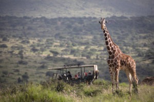 kenya laikipia loisaba star beds activities 19