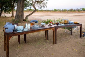 zambia south luangwa national park luangwa river camp 1