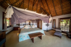 zambia south luangwa national park luangwa river camp 12