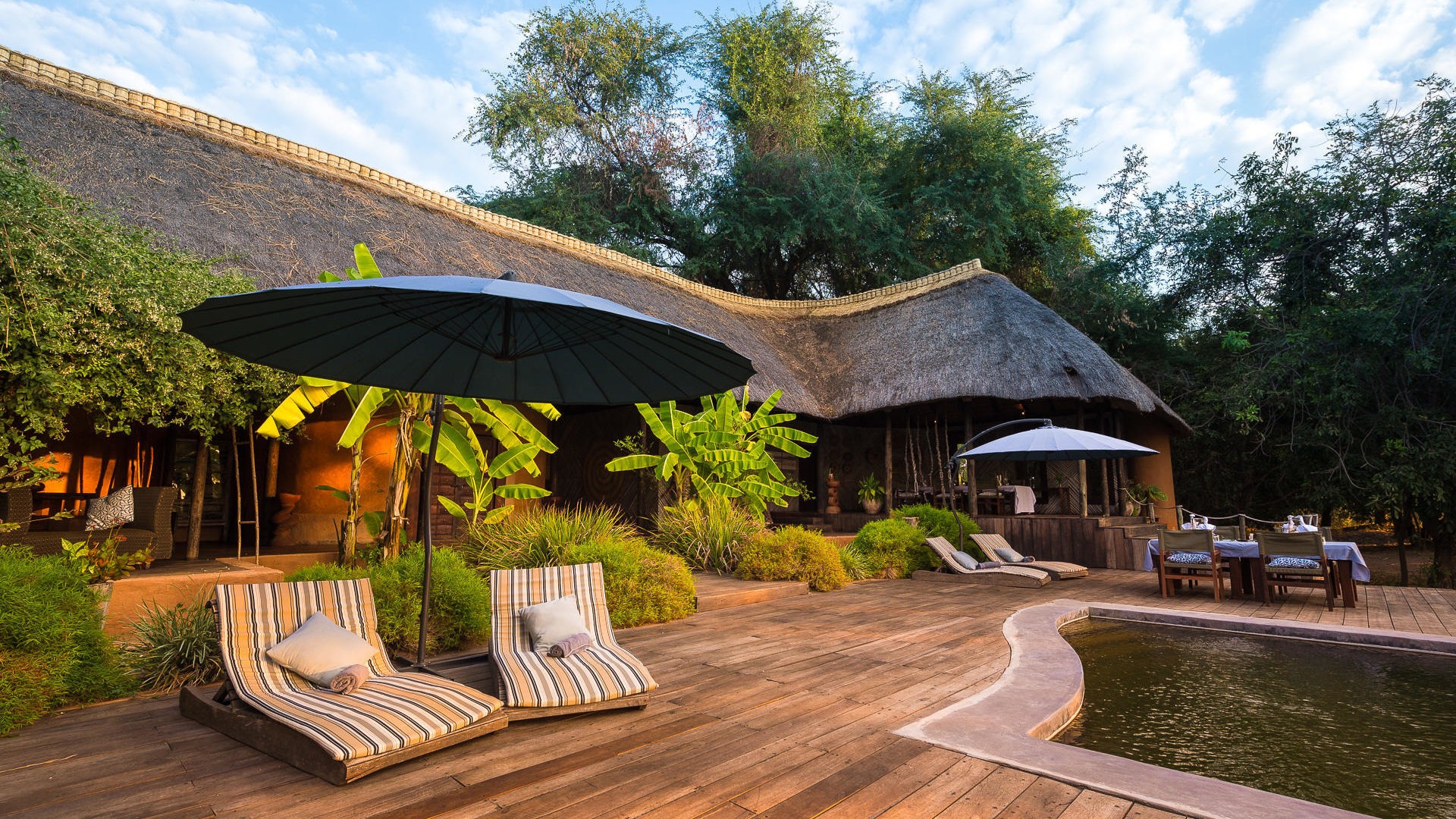 zambia south luangwa national park luangwa river camp 17