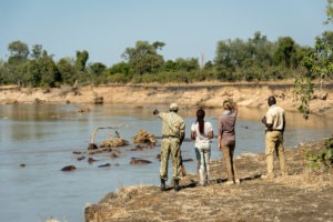 zambia south luangwa national park luangwa river camp 24