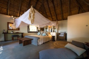zambia south luangwa national park luangwa river camp 8