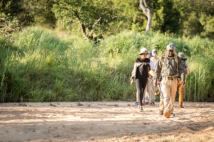South Africa Greater Kruger National Park Tulela Klaserie24