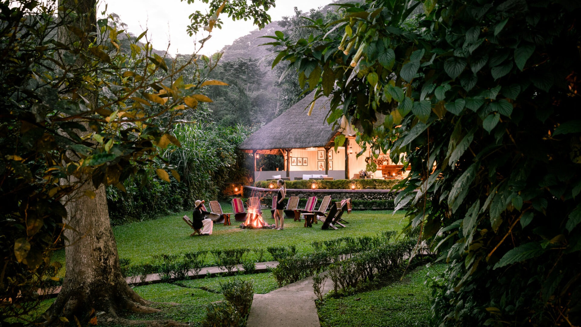 uganda bwindi sactuary gorilla forest camp 10