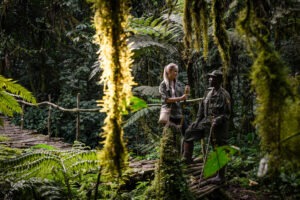 uganda bwindi sactuary gorilla forest camp 17