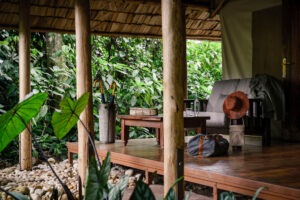 uganda bwindi sactuary gorilla forest camp 19