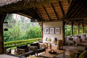 uganda bwindi sactuary gorilla forest camp 21