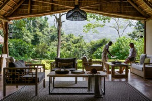 uganda bwindi sactuary gorilla forest camp 5