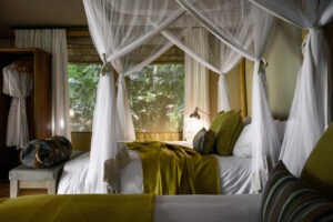uganda bwindi sactuary gorilla forest camp 7