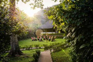 uganda bwindi sactuary gorilla forest camp 9