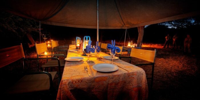 botswana okavango expeditions mobile safaris 22