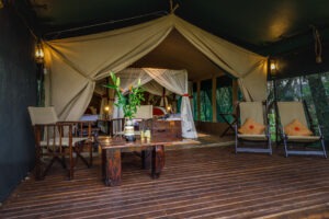 kenya masai mara bush camp 13