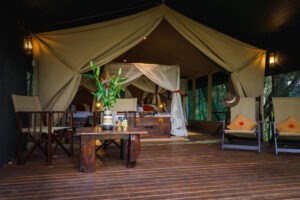 kenya masai mara bush camp 14