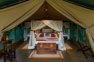 kenya masai mara bush camp 15