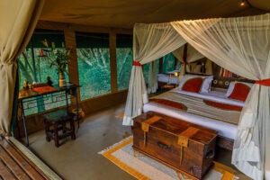 kenya masai mara bush camp 16