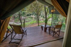 kenya masai mara bush camp 17