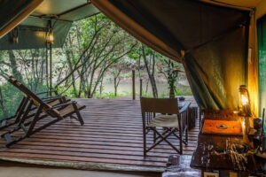 kenya masai mara bush camp 18