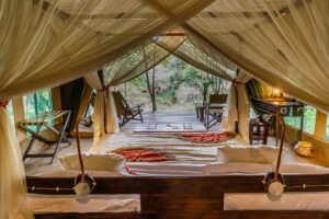 kenya masai mara bush camp 19