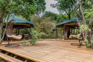 kenya masai mara bush camp 2