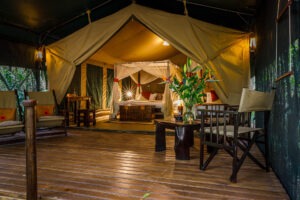 kenya masai mara bush camp 29