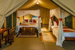 kenya masai mara bush camp 31