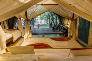 kenya masai mara bush camp 33