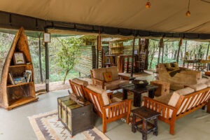 kenya masai mara bush camp 4