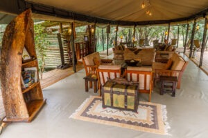 kenya masai mara bush camp 7