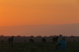 Tanzania Serengeti Dorobo Walking Mobile Camping Safari11