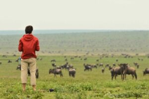 Tanzania Serengeti Dorobo Walking Mobile Camping Safari14