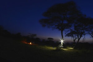 Tanzania Serengeti Dorobo Walking Mobile Camping Safari4