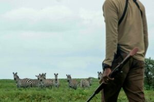 Tanzania Serengeti Dorobo Walking Mobile Camping Safari5
