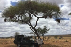 Tanzania Serengeti Dorobo Walking Mobile Camping Safari6