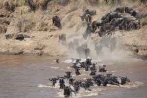 Tanzania Serengeti Dorobo Walking Mobile Camping Safari7