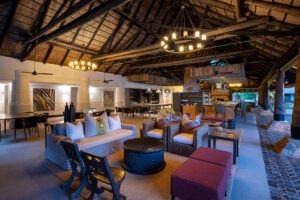 zambia south luangwa national park mfuwe lodge 12