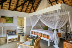 zambia south luangwa national park mfuwe lodge 16 1